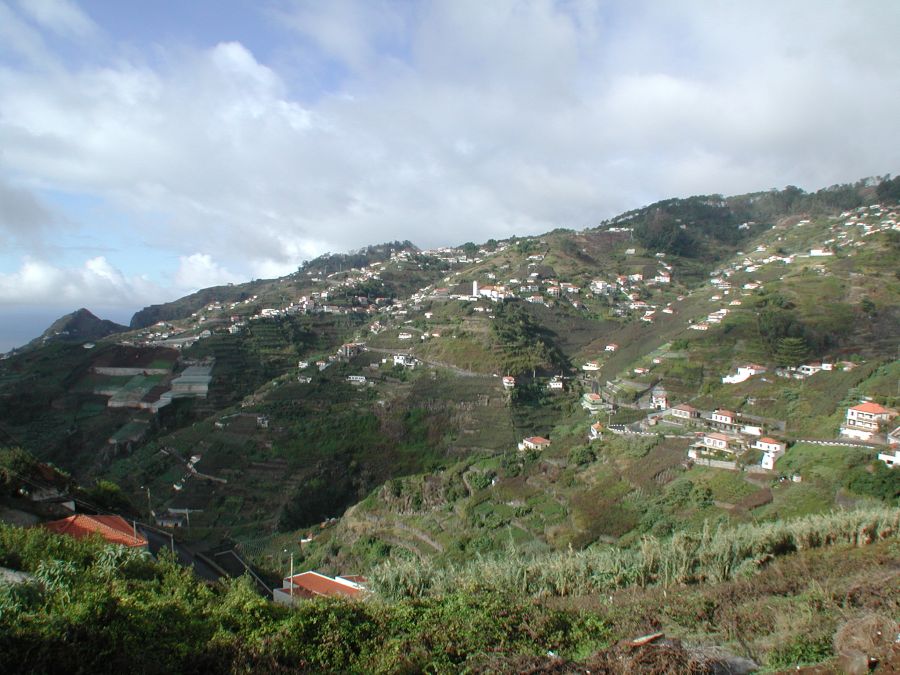 Half Day Tour Camara De Lobos